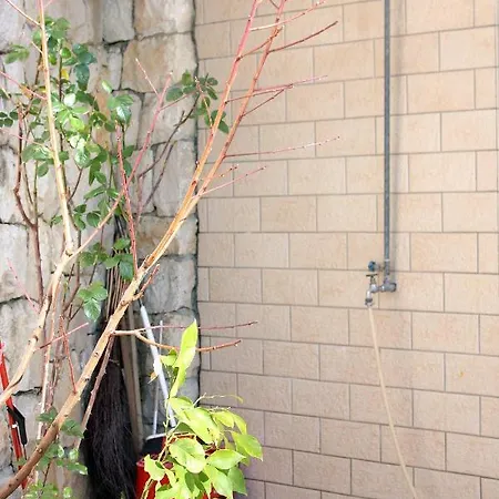 Marusici 962a דירה מימיצה